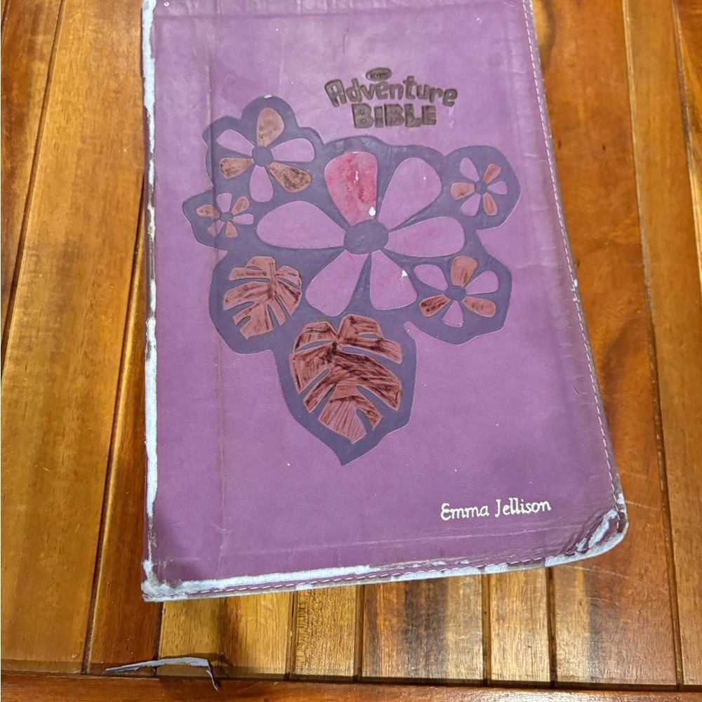 New Adventure Bible For Early Readers New International Readers Version